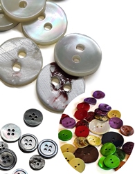 Shell Buttons